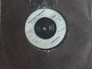 Smashing Pumpkins - Siva/Rhinoceros 7