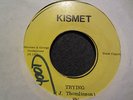 Bim Sherman Trying Killer Roots 7