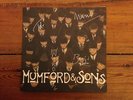 Mumford & and sons 10