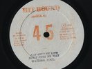 Wailing Souls & Ranking Trevor 