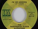 Garage 45 THIRTEENTH FLOOR ELEVATORS I've Got Levitation IA HEAR