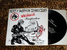 DIRTY ROTTEN IMBECILES Violent Pacification 7