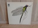 STRAWBS Dragonfly Psych Prog Folk Country Rock UK 1970 AMLS 970  MINT