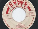 PRIVATE RARE 1958 MN Rockabilly 45 - ROBBIE ROBBINS 