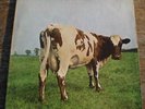 PINK FLOYD - ATOM HEART MOTHER CLASSIC HARVEST ROCK VINYL L.P.