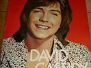 DAVID CASSIDY   VERY RARE ORIGINAL 1973 WORLD TOUR CONCERT BROCHURE PROGRAMME