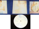 CELINE DION-FALLING INTO YOU HOLLAND EDITION LP