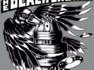 Black Crowes 