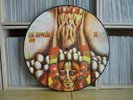 LED ZEPPELIN - II /  LP Picture disc   TURKISH artwork 