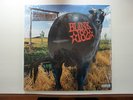 blink 182 - Dude Ranch ORANGE/GOLD VINYL - Hot Topic pressing - SEALED - RARE