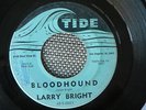 RARE ROCKABILLY 45 rpm LARRY BRIGHT on TIDE lb WAY DOWN HOME / BLOOD HOUND Hear