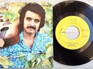 Iran Fereydon Foroghi Mahi Khasteye Man & Demis rusoss  goodbye my Love 45RPM