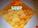 BUMP S/T Private Detroit Prog Psych Rock vinyl LP US ’70  Reissue