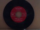 Northern Soul    The Fabulous Mustangs