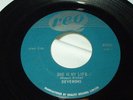 DEVERONS She Is My Life/You Can't Buy Me 45 Garage Canada Reo Label Guess Who