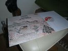 Caravan In the Land of Grey and Pink 1St UK Press in MINT