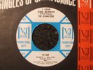 NORTHERN - THE RIVINGTONS - I LOVE YOU ALWAYS - VEE JAY - PROMO - LISTEN