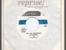 THE TIMERS   NO GO SHOWBOAT / COMPETITION COUPE   SURF 45 BRIAN WILSON