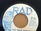 THE METAPHORS  *YOU HAVE EVERYTHING* RARE SOUL 45 check SAMPLES