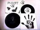 Pusmort Sampler comp 7