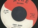rare Georgia Rocker 45 WAYNE COCHRAN cindy marie AIRE Hear