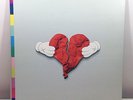 Kanye West - 808s & Heartbreak - Rare OOP Kid Cudi, Lil Wayne kaws