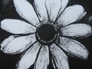 LP:Cardiacs,A Little Man And A House And The Whole World Window[NM] (Torso)