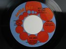 PAT LEWIS No One To Love on SOLID HIT RARE DETROIT NORTHERN SOUL 45 HEAR
