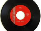 NM- SUPER RARE FLORIDA GARAGE PSYCH FLOWER POWER 45 ON TENER 