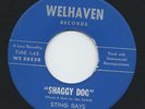 PRIVATE 1967 Garage 45 - THE STING RAYS 
