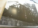 BURZUM    aske   - rare press vinyl   LP   white merble