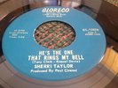 SHERRI TAYLOR he´s the one that rings my bell NORTHERN SOUL R&B MOD popcorn 45
