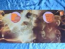 Mecki Mark Men - same (limelight US original) RARE & TOP   