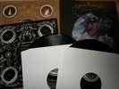 Mastodon 