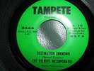 DESTINATION UNKNOWN/THE DELREYS INCORPORATED/TAMPETE RECORDS