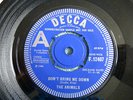 The Animals - Don't Bring Me Down (Demonstration Sample)