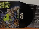 MUNICIPAL WASTE CRUCIAL UNIT LP thrash/toxic holocaust/ghoul/slayer/metal/vinyl