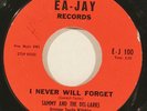 SAMMY +DEL-LARKS “I Never Will Forget” group doo wop 45 on EA-JAY nm SUPERB HEAR
