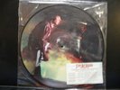 STEVIE RAY VAUGHAN COULDN'T STAND THE WEATHER RARE PICTURE DISC