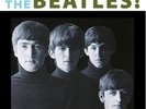 The Beatles - With the Beatles The real alternate  box set 5 LP 2 CD 3D cover