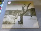Tonton Macoute LP Same UK RCA Neon 1st press Monster PLAYS NEAR MINT 11 pics