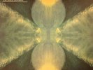 BONOBO - The North Borders - 7xLP