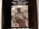 SONNY TERRY, JOHNNY WINTER  - I Think I Got The Blues