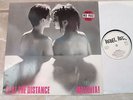 MALARIA  LP - BEAT THE DISTANCE / RARE NDW ALBUM IN MINT - TOP RAR