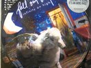 FALL OUT BOY - INFINITY ON HIGH - NEW WAREHOUSE FIND 12” LP VINYL PICTURE DISC