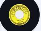 JAMES COTTON - COTTON CROP BLUES (SUN ROCKIN' BLUES) RARE 1970s REPRO