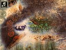 LP:Pink Floyd,A Saucerful Of Secrets[NM] (EMI Columbia)