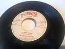 Royal Drifters * S' Why Hard * Hawaii Rockabilly * TEEN 506 * 1959 * VG+