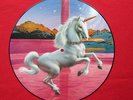 Magnum  Picture Disc Record  12