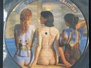 Pink Floyd Rare Beauties Picture Disc LP New